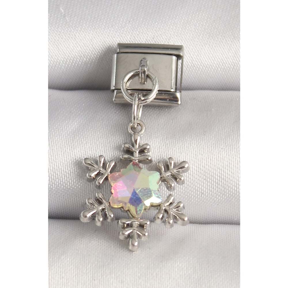 316L Çelik Gümüş Renk Hologram Mineli Kar Tanesi Model Nomination Charm