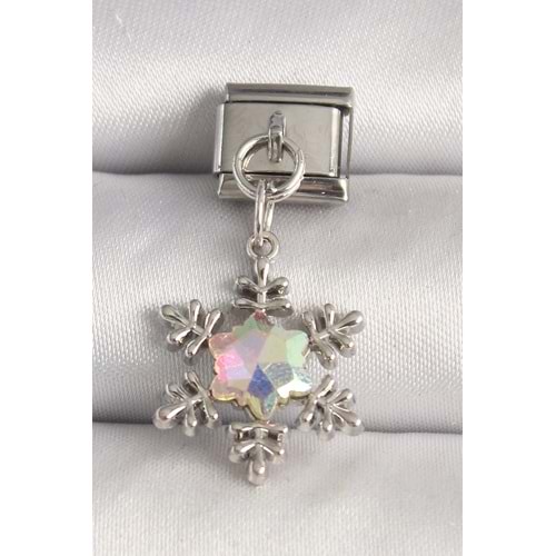 316L Çelik Gümüş Renk Hologram Mineli Kar Tanesi Model Nomination Charm