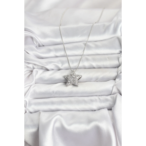 316L Çelik Zincir Gümüş Renk Zincirli Gümüş Yıldız Model Kadın Kolye