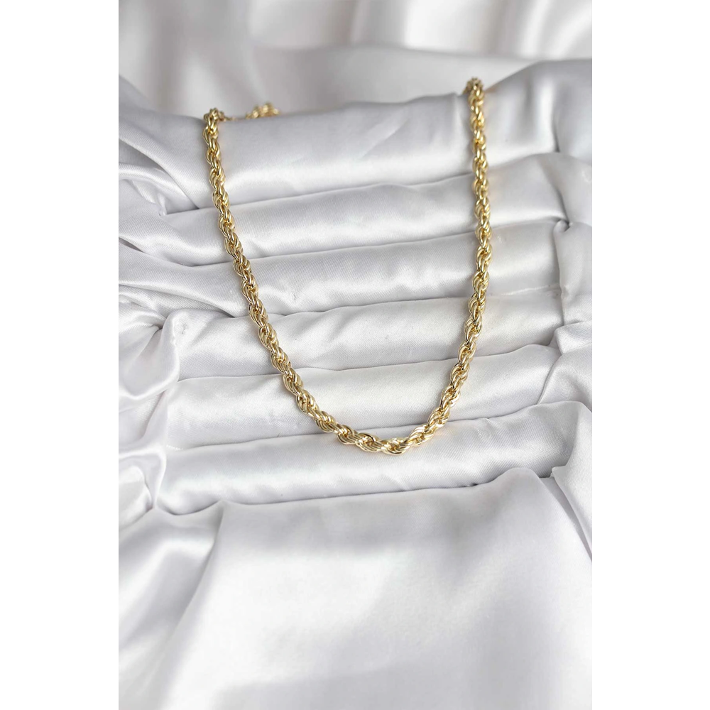 14K Gold Renk Kaplama Burgu Model CM Kadın Kolye