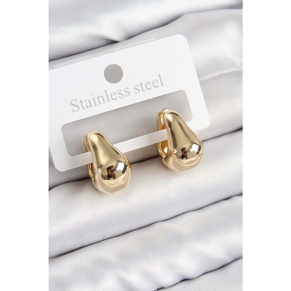 Pirinç Halka Model Gold Renk Kadın Küpe