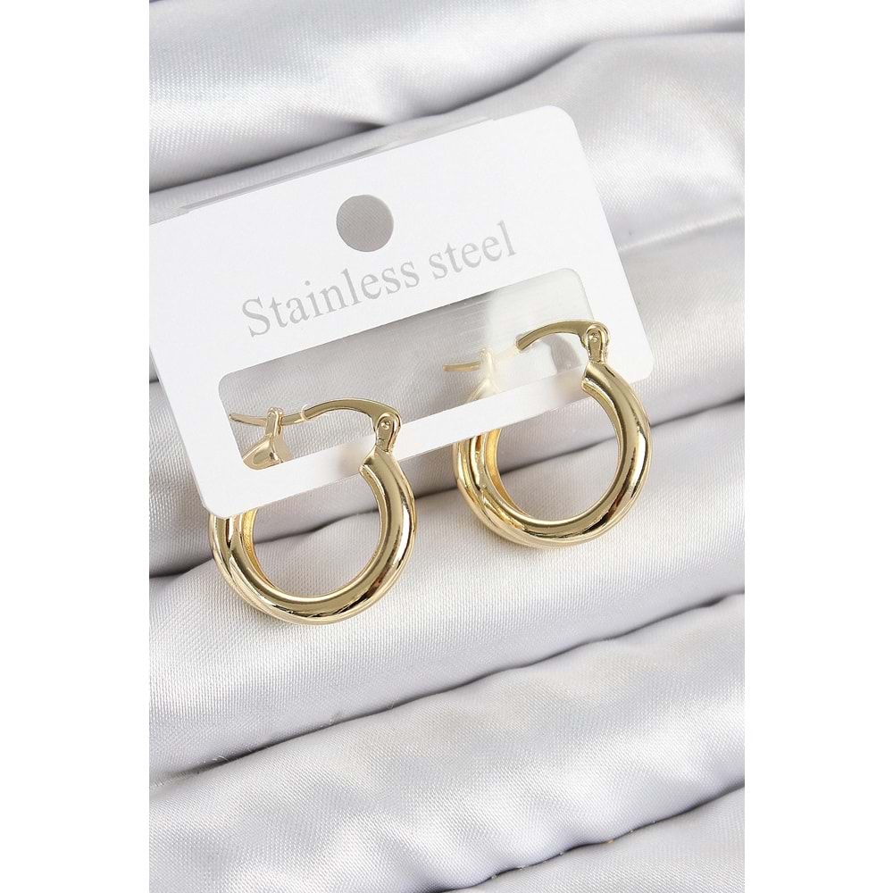 Pirinç Halka Model Gold Renk Kadın Küpe