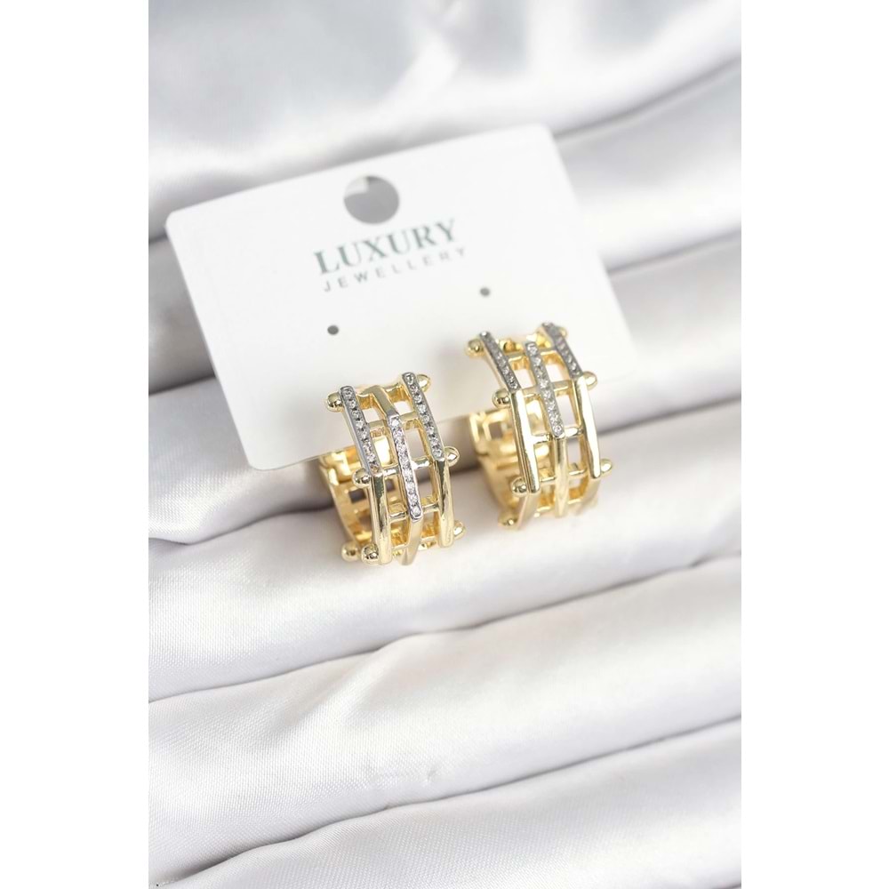 Pirinç Gold Renk Taşlı Halka Kadın Küpe